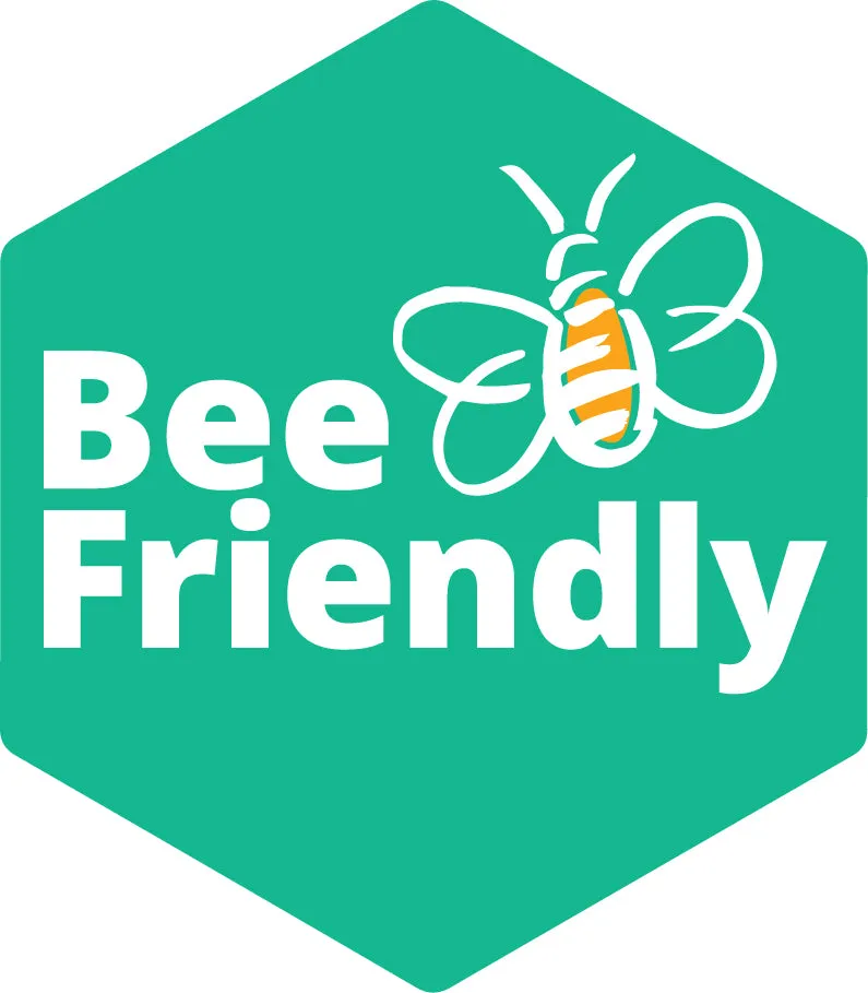 Organic Bee-friendly Flower Seeds - Image 8