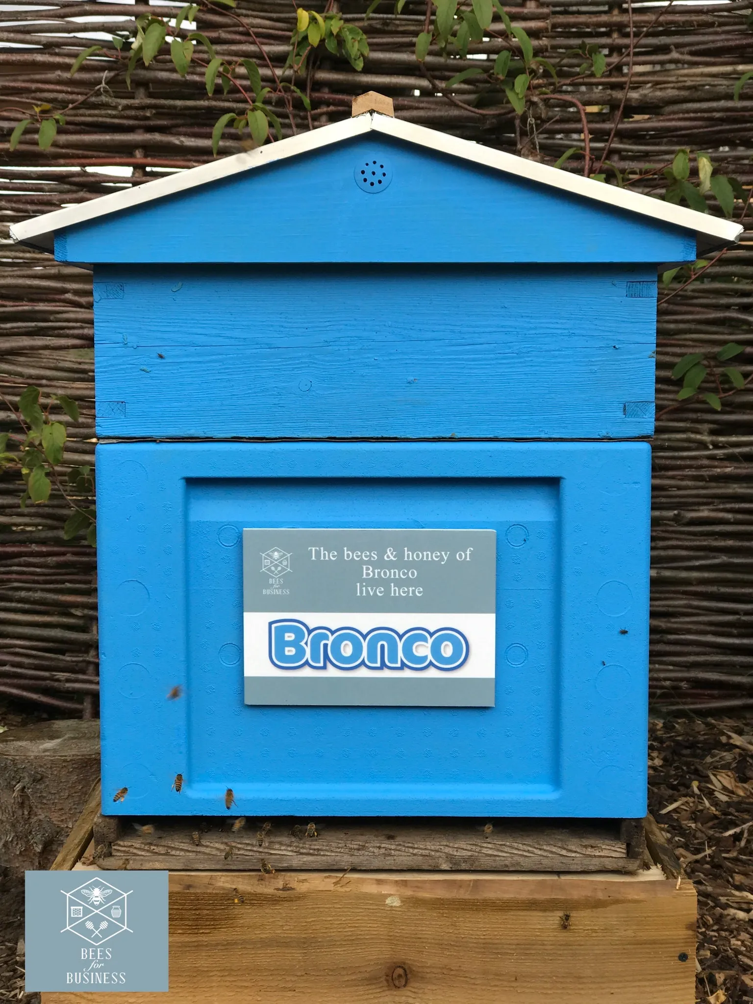 Business Honeybee Hive Adoption Plans - Image 7