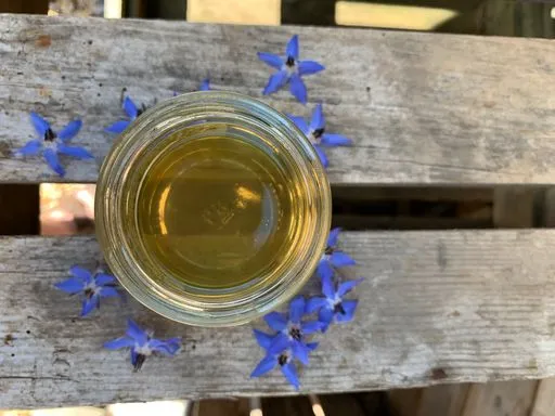 Great Taste Award Winning - Special Edition Borage Honey