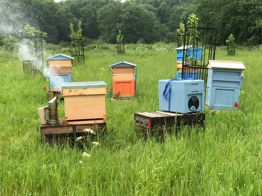 Whole British Honeycomb Frame - Image 5