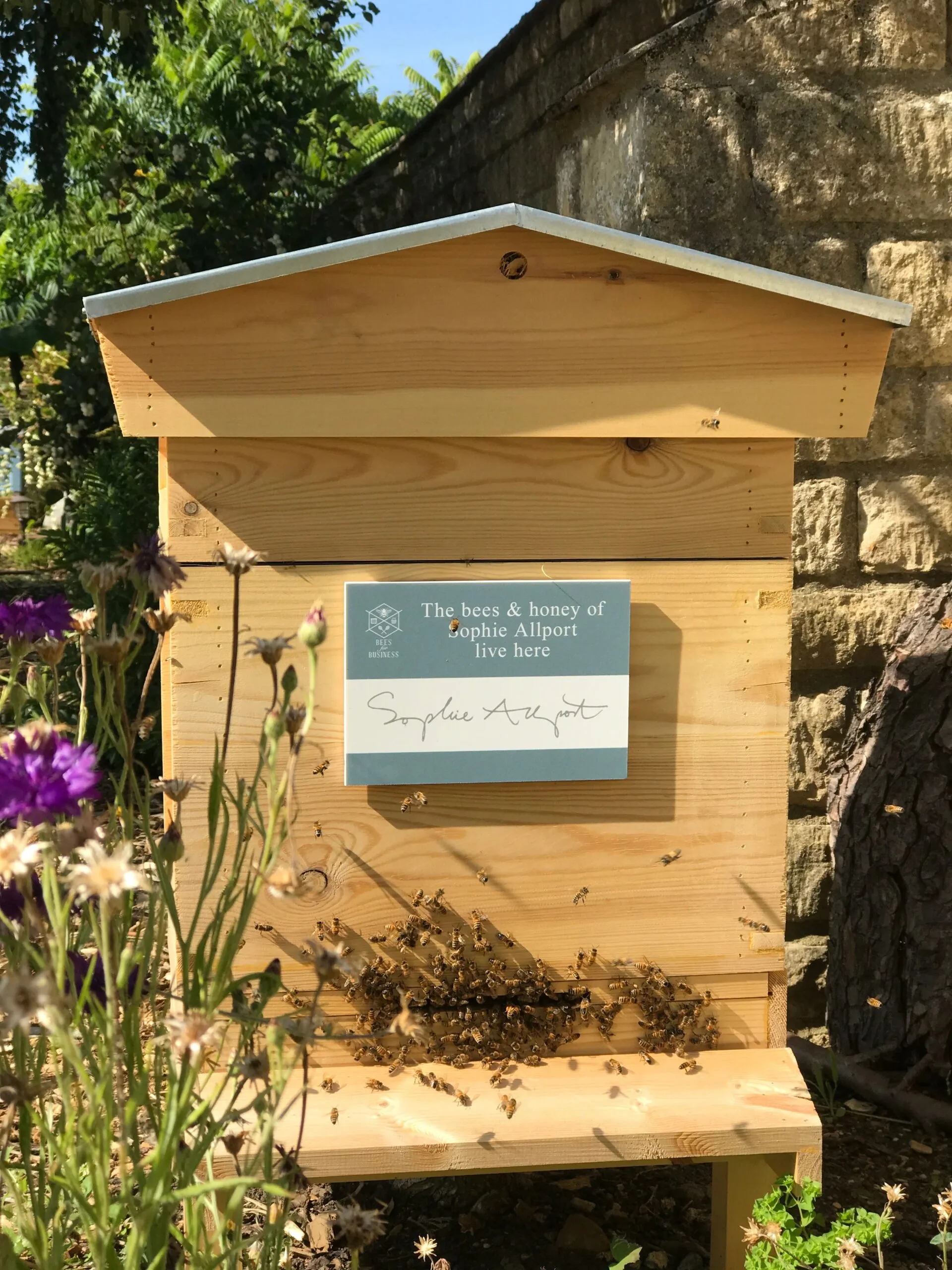 Business Honeybee Hive Adoption Plans - Image 2