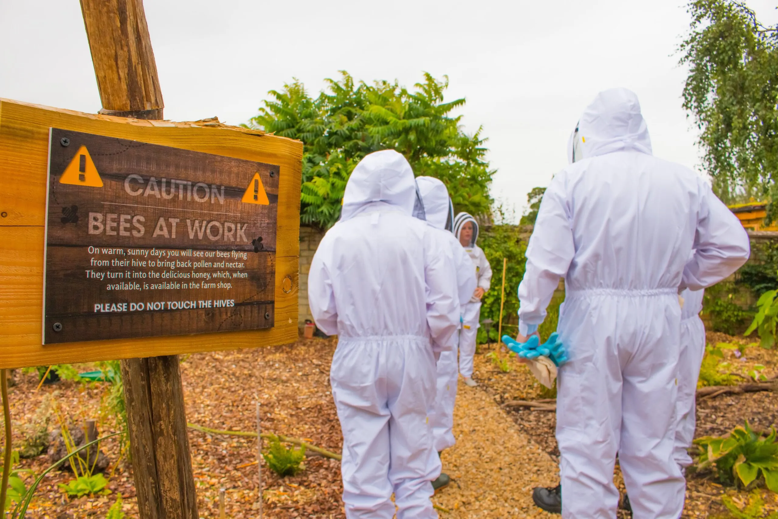 Beekeeping for Beginners Course - in Stamford Lincolnshire