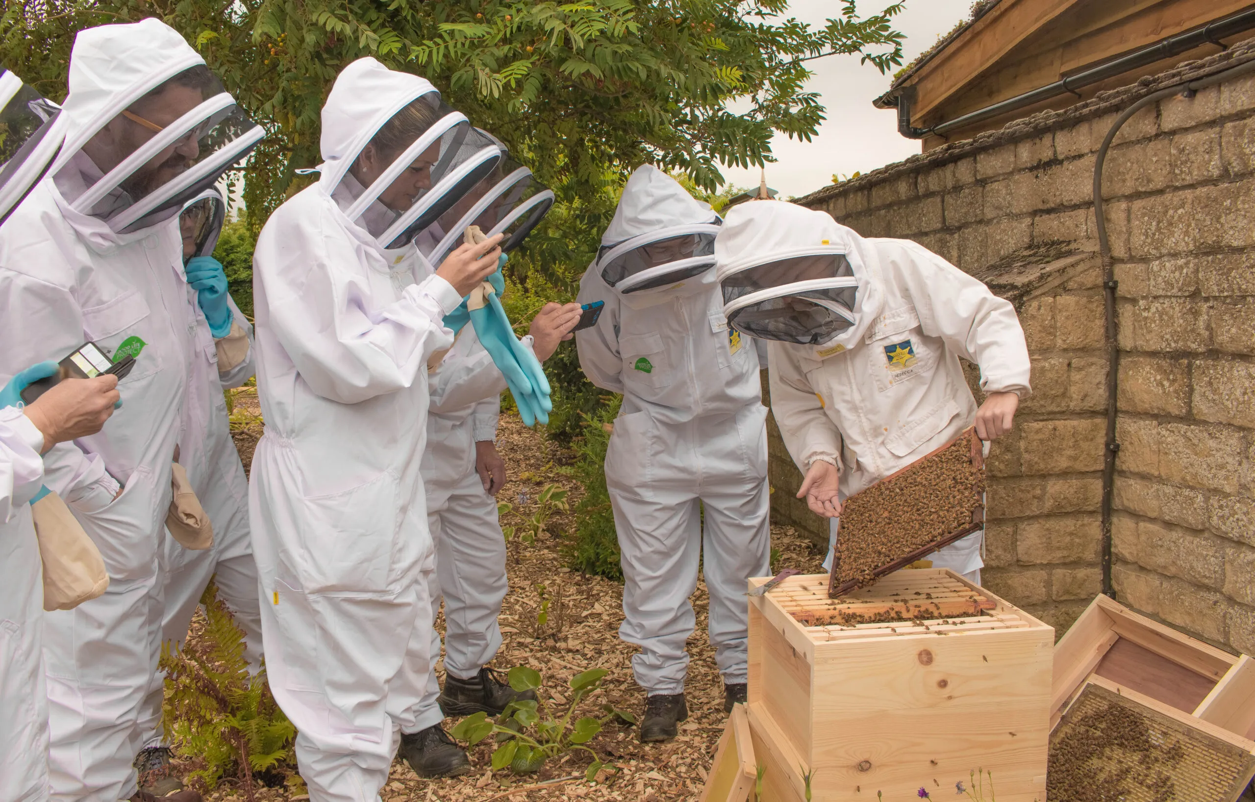 Beekeeping for Beginners Course - in Stamford Lincolnshire - Image 8