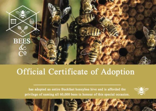 Adopt a Beehive - Your Very Own Raw, British Honey!