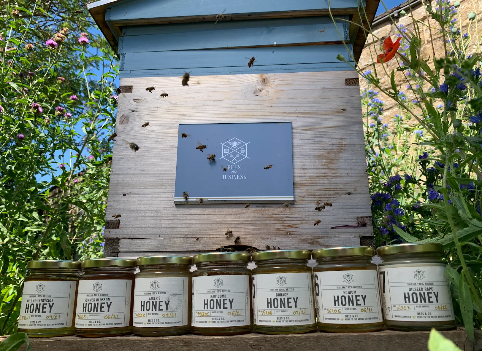 WHOLESALE Summer Blossom British Honey - Image 2