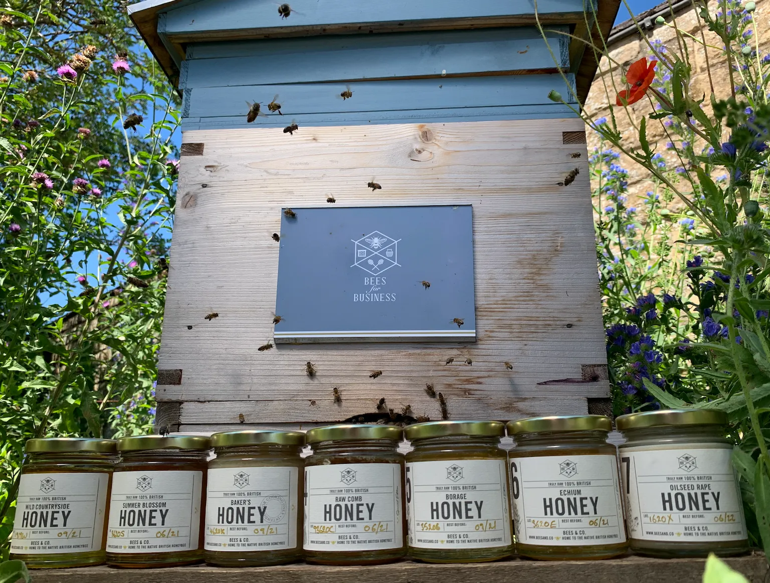 Great Taste Award-Winning Wild Countryside British Honey - Image 4