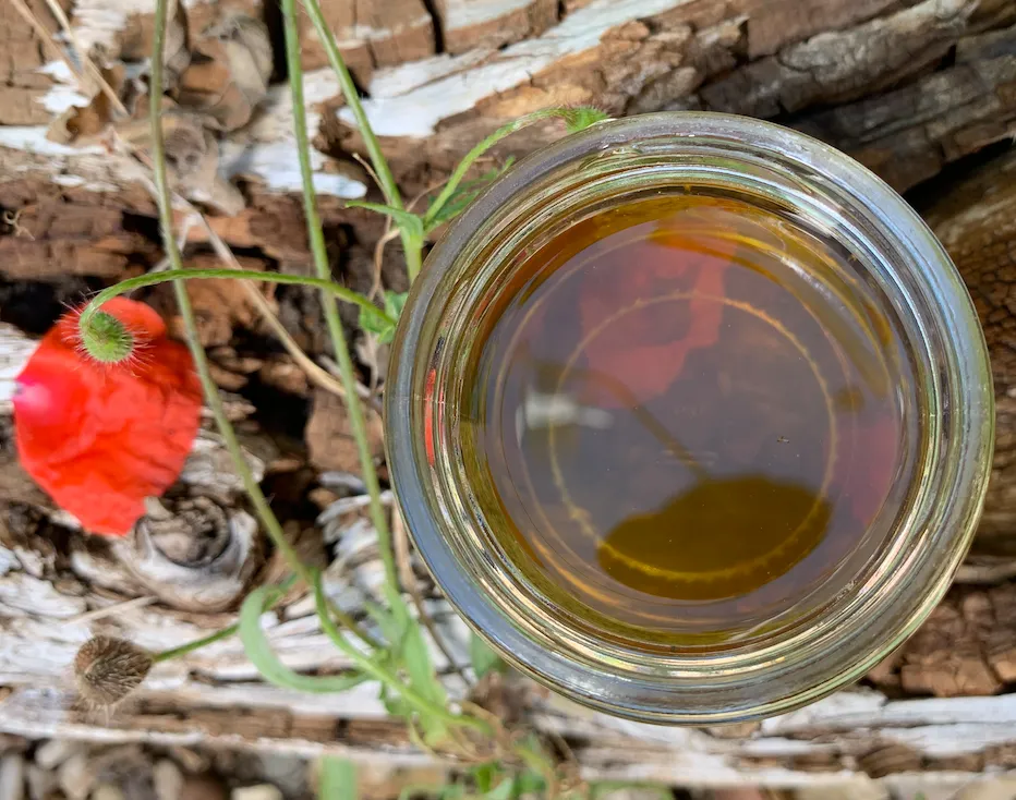 Great Taste Award-Winning Wild Countryside British Honey - Image 3