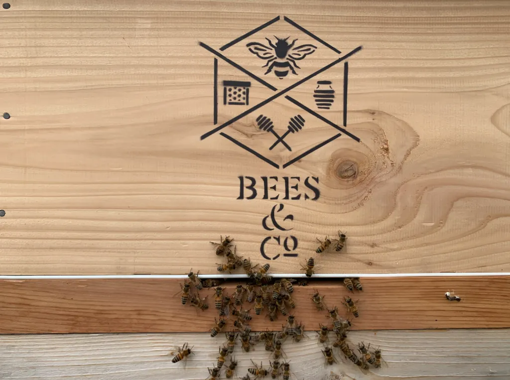 ADOPT A HONEYBEE HIVE