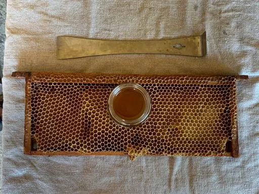 WHOLESALE Summer Blossom British Honey - Image 4