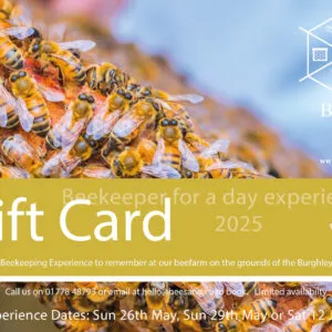 Bees & Co Experience day Voucher