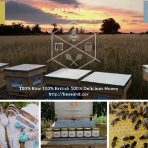 British RAW Honey