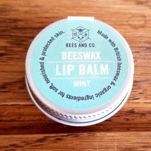 Organic Mint Lip Balm 10g