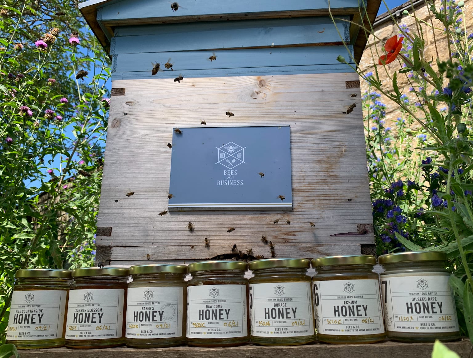 Cut Honeycomb Jar - Image 4
