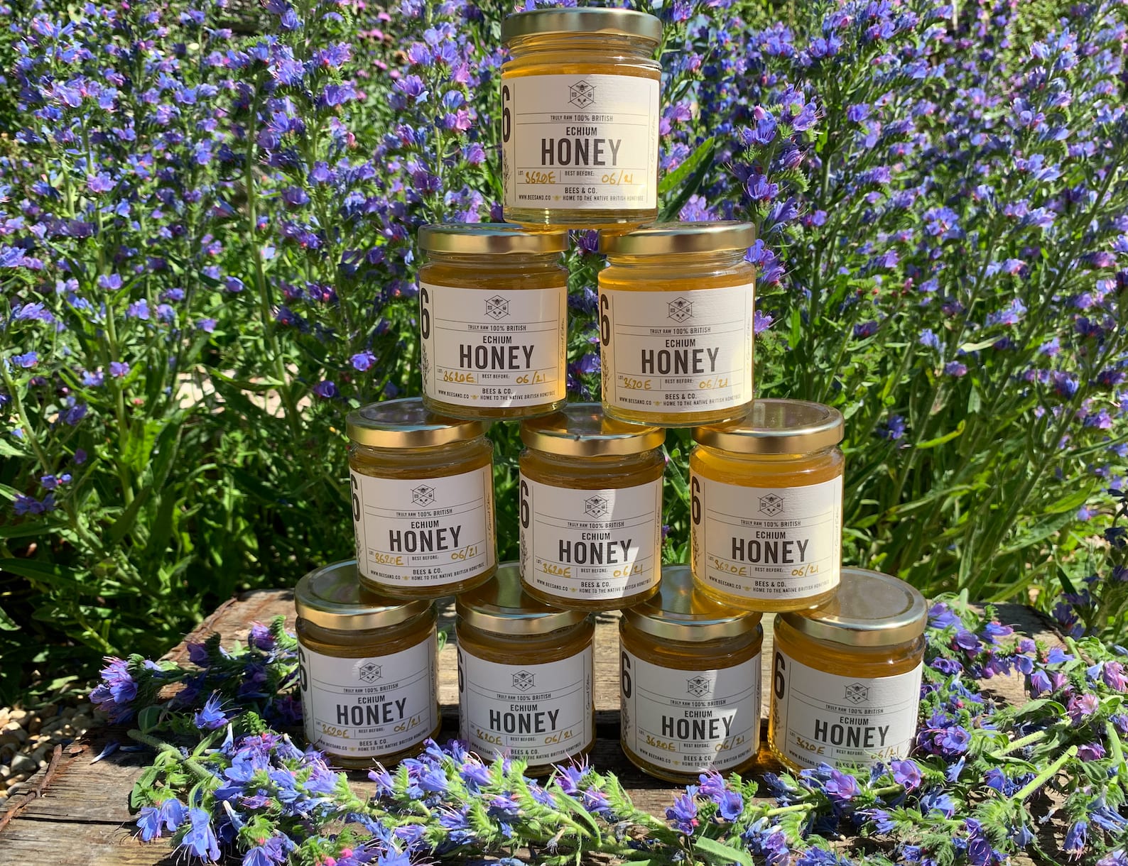 Two star Great Taste Award Winning - Echium Honey - Special Edition - Image 9