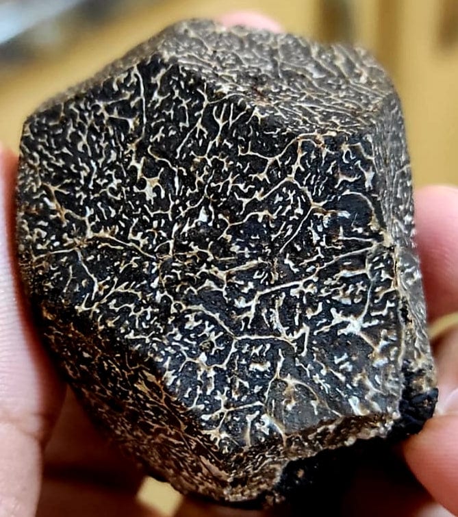 British Truffle Welsh