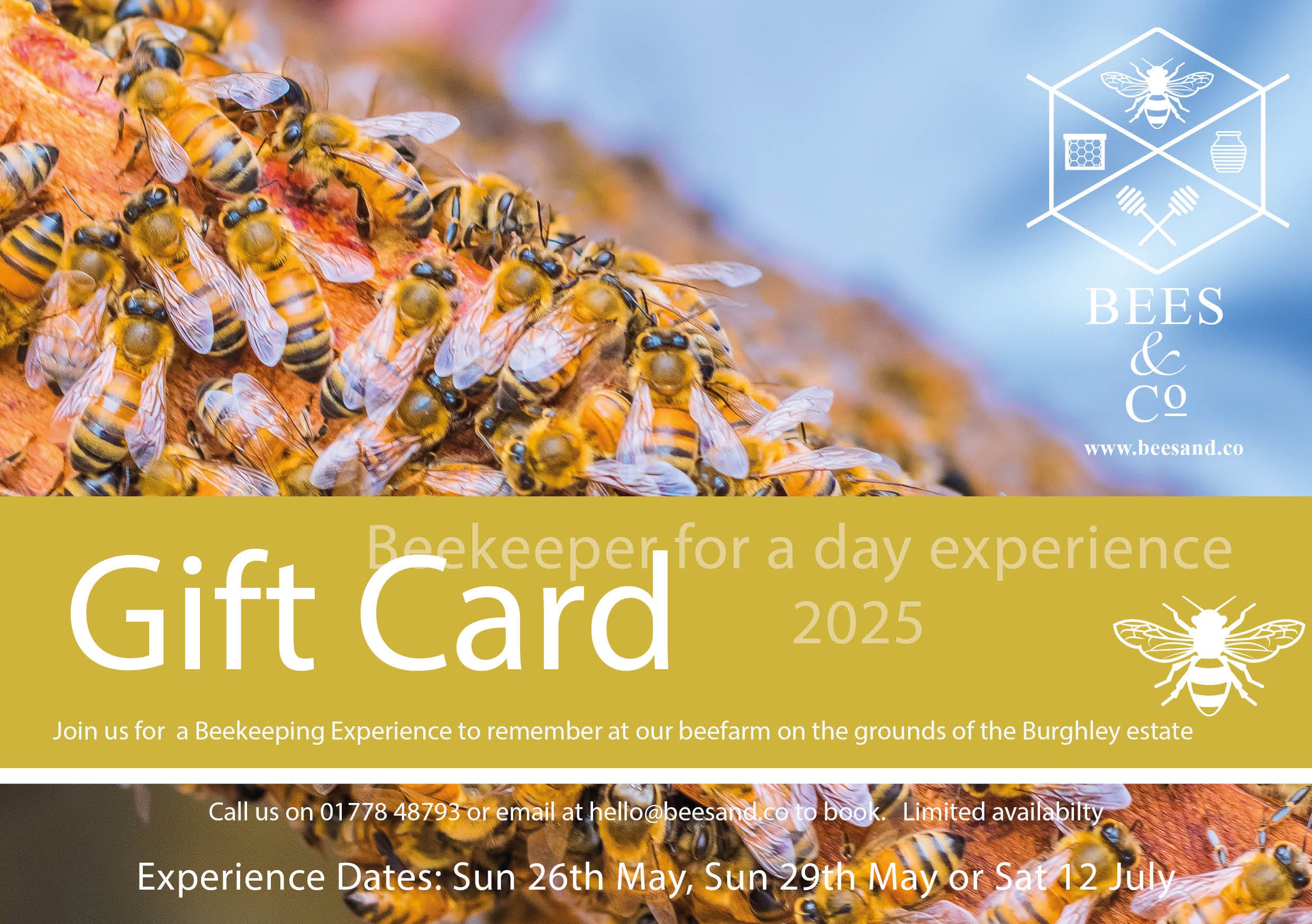 Bees & Co Experience day Voucher